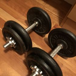 Weider Dumbbells 