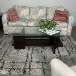 SOFA 2 CUSHION WITH A GLASS TABLE