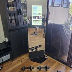 Ifit workout Mirror