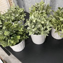 Faux Plants 