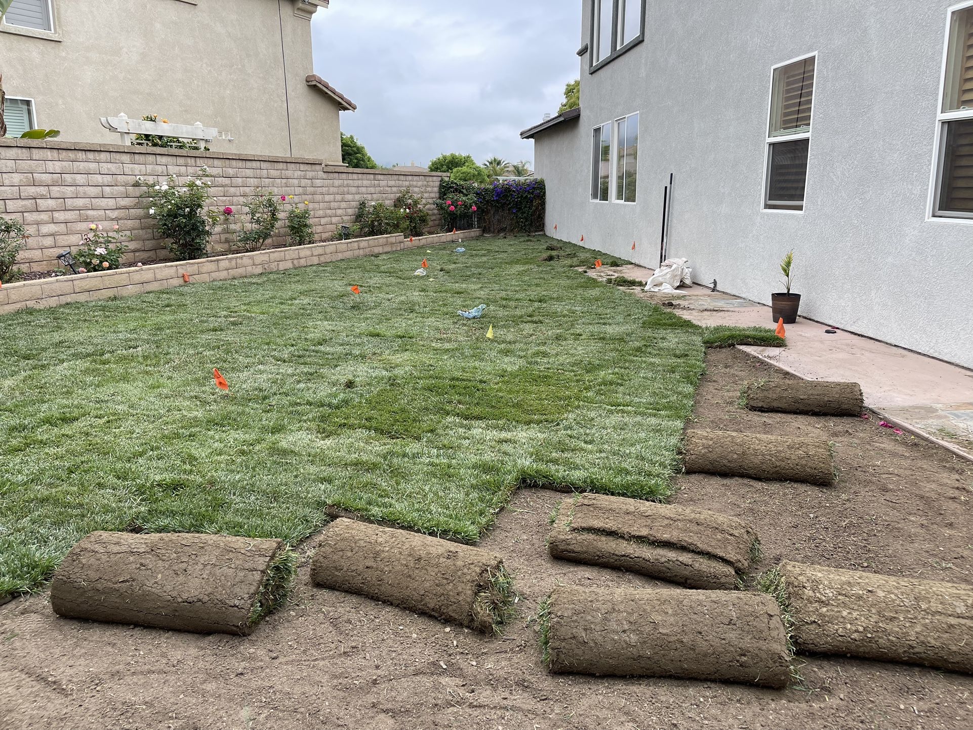 ///:SOD////INSTALL///SPRINKLERS////