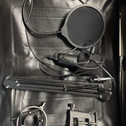 Microphone with arm set