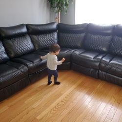 Sectional Couch