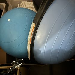 Bosu Ball + Oval Exercise (medium)