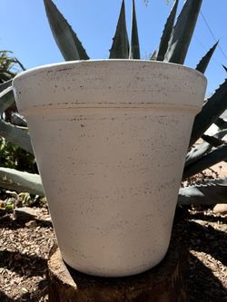 Extra Large Vase Pot Planter