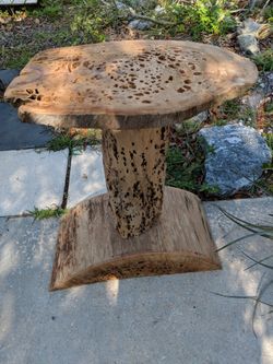 Pecky Sinker Cypress Art! Rare!!!