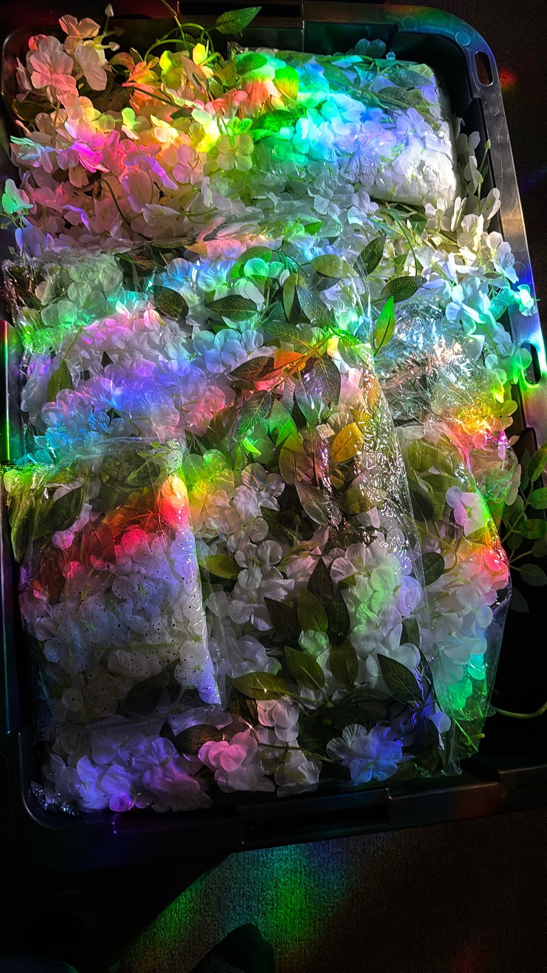 Wisteria Hanging Flowers And Vines