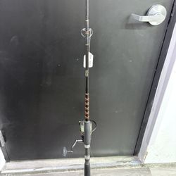 Penn Fishing Rod & Reel