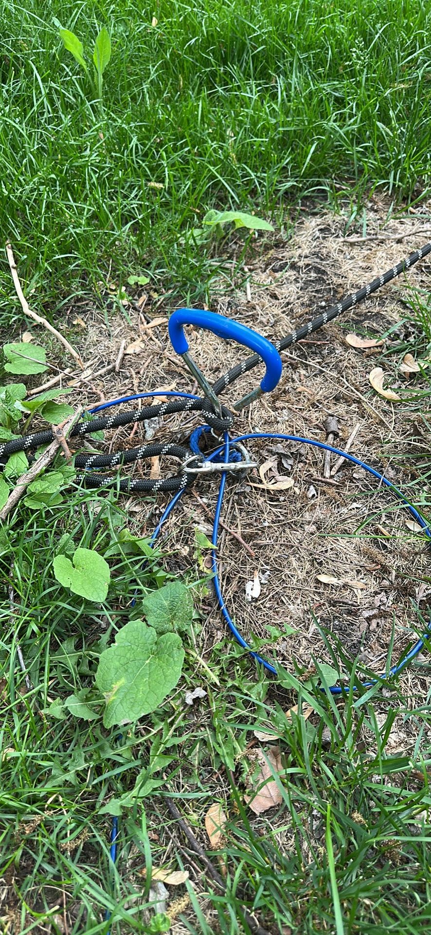 Dog lead