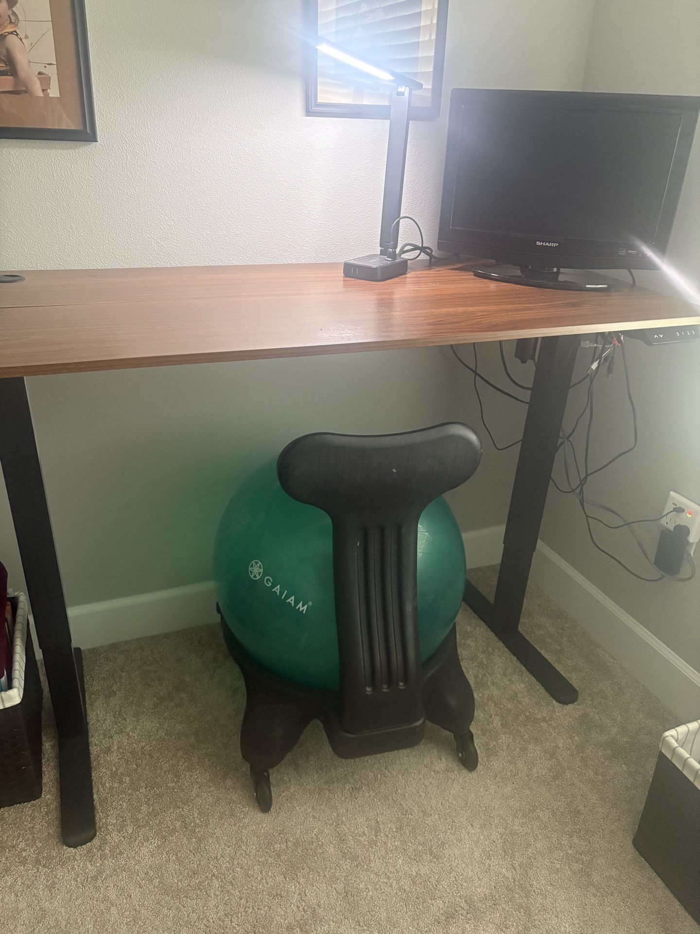 Electric Adjustable Standing Desk