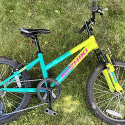 Youth Bicycle 7-Speed 20” Frame