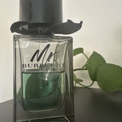 Mr Burberry Cologne