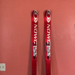 Salomon Equipe 10 Snow Skis (no bindings)