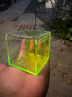 Tarantula Crib “Glow in the Dark”