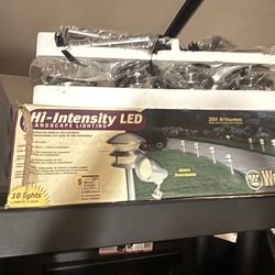 Outside LED Landscape lighting