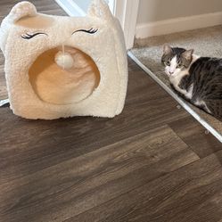 Cat Bed For Sale