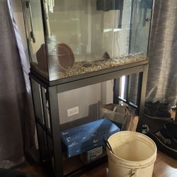29 Gallon Fish Tank With Stand, Lid, Automatic Siphon And 4 Filters 