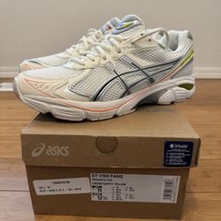 Asics GT-2160 Paris Size 11