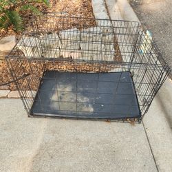 Dog Cage 