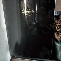 Skincare Mini Fridge 
