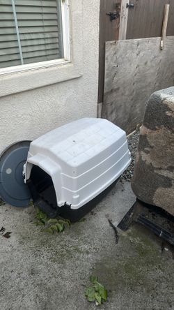 Dog House