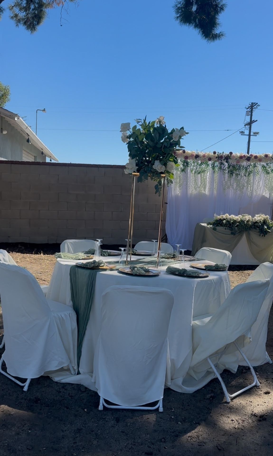 Chairs Cover Ivory  100 Pcs