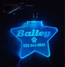 LED PET TAG