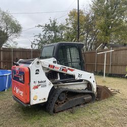 Bobcat 