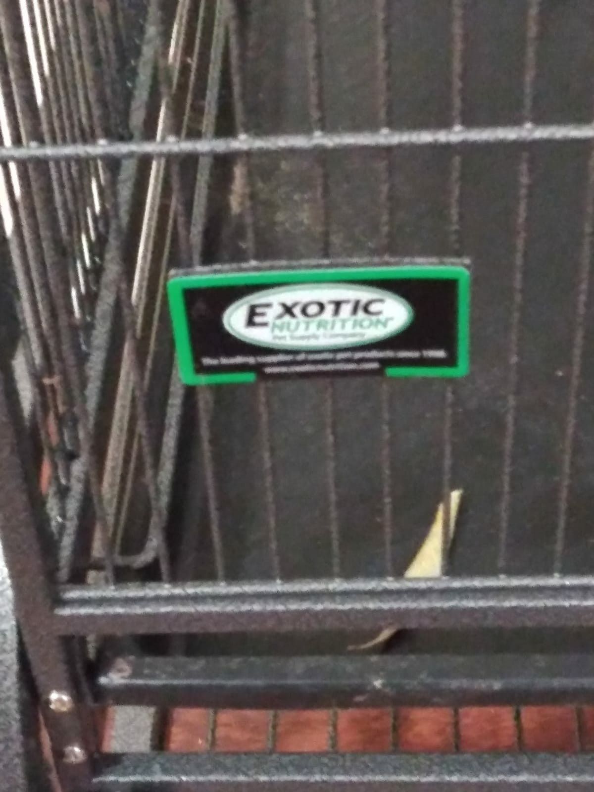 Bird Cage brand exotic nutrition