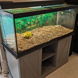 Fish Tank And Stand