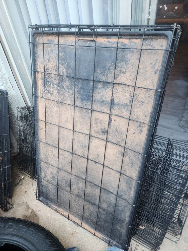 Dog Kennels