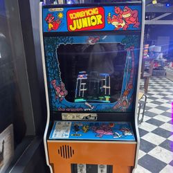 Donkey Kong Junior 