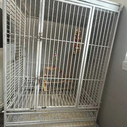 XL bird cage with toys