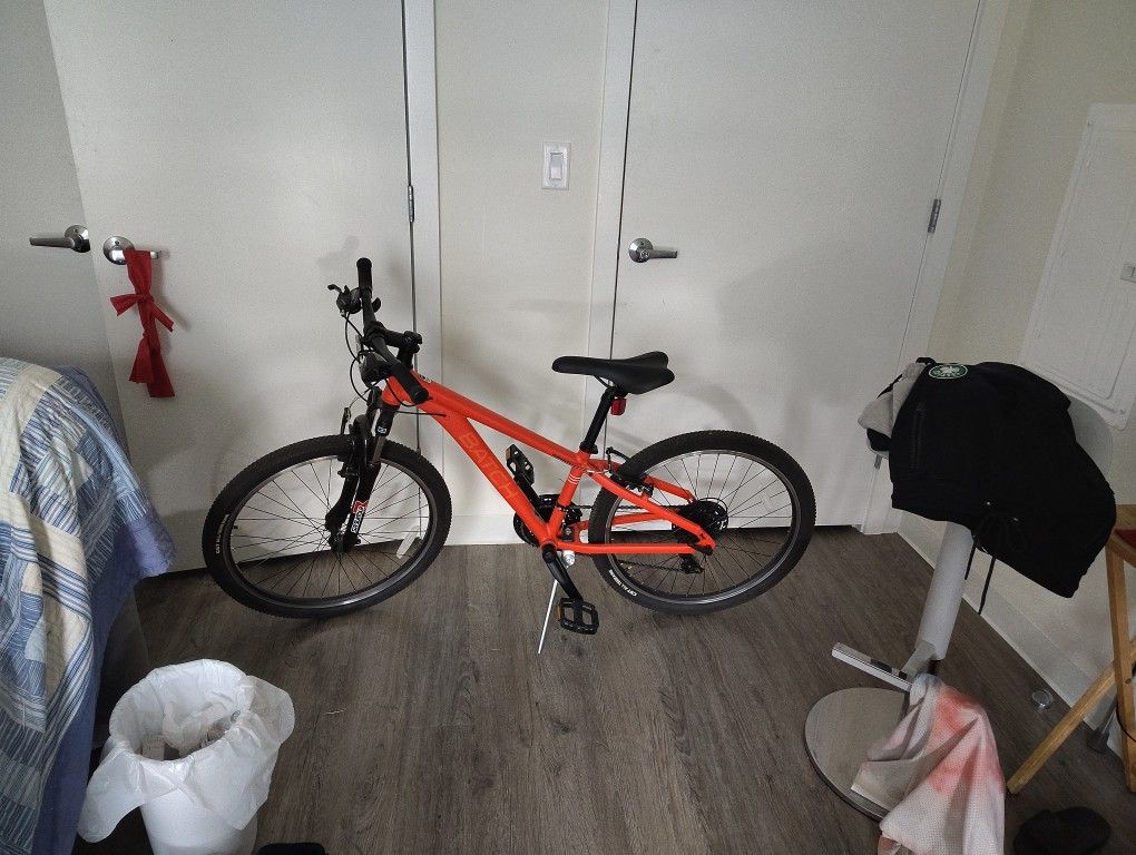 Batch Bike