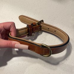 free padded leather dog collar