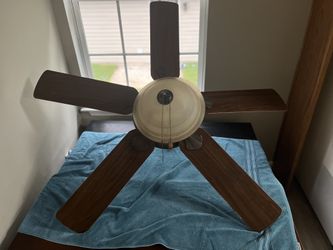 Ceiling Fan With Lights