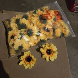 Yellow Sunflowers 