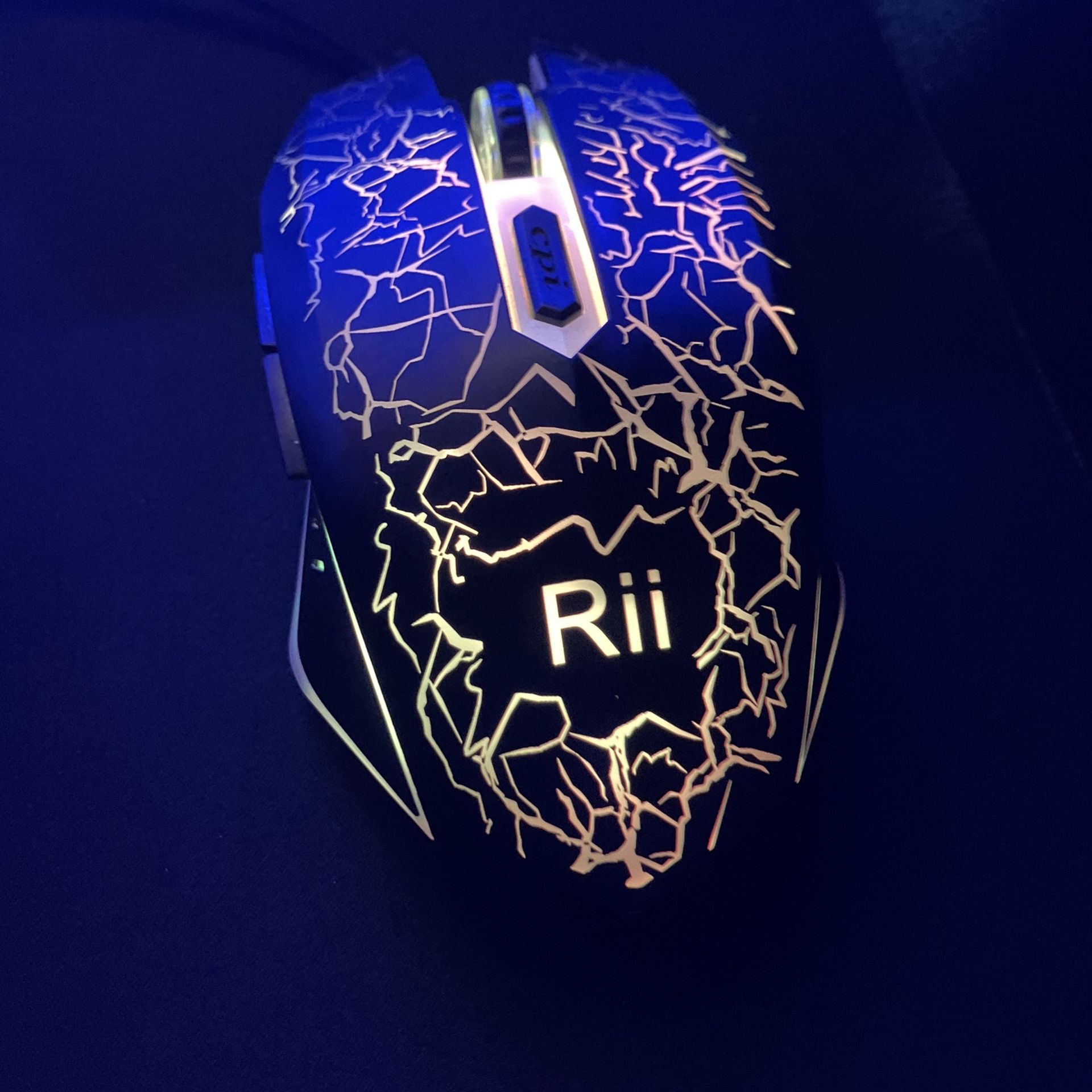 Mouse