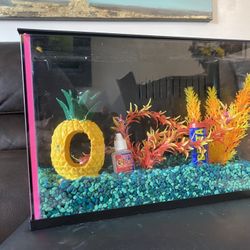 Fish Tank 2.5 Gallon Kit