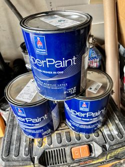 Paint