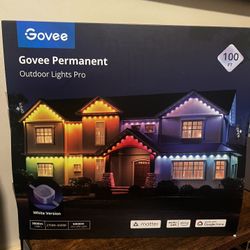 Govee OutDoor Decoration Lights Pro