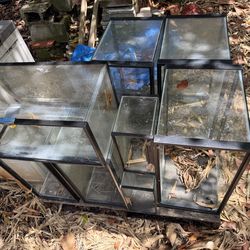 Fish or reptile tanks