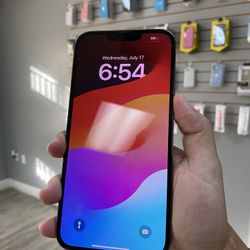 13 Pro Max Unlocked 128gb 