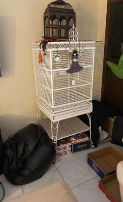 Powder coated birdcage