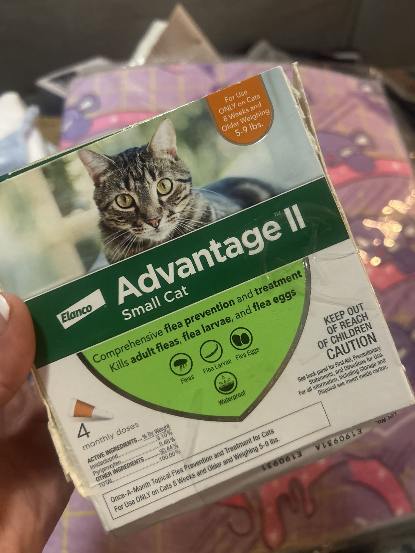 Advantage Small cat