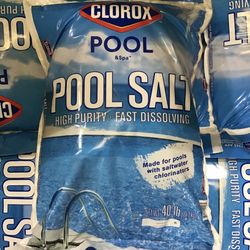Clorox Pool Salt 