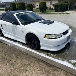 1999 Ford Mustang