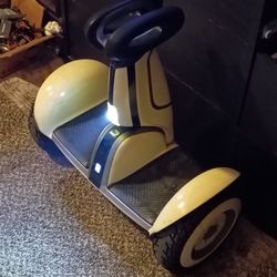 Self Leveling Hoover Board 