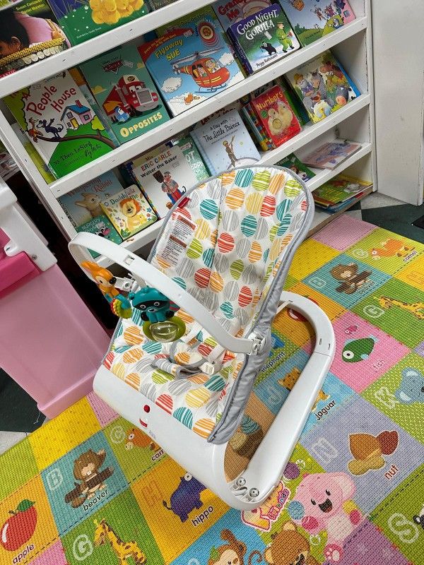 Baby Bouncer