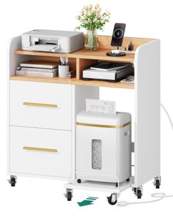 Rolling Office Storage